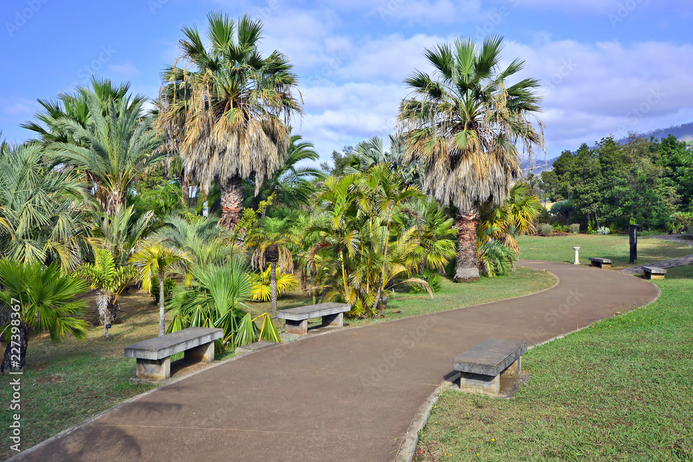 Tropical Botanical Gardens in Funchal, capital of Madeira island, Portugal