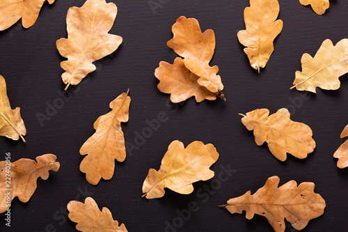 Autumn background. Dry oak leaves on black table. Top view. Flat lay.
