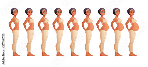 Stages of pregnancy month by month. Isolated vector illustration.