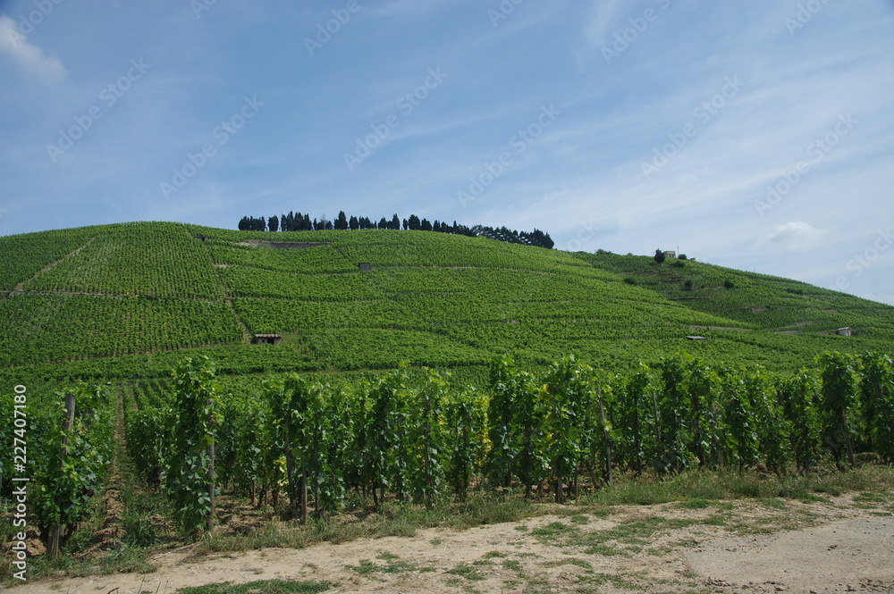 Fototapeta premium tain-l'hermitage