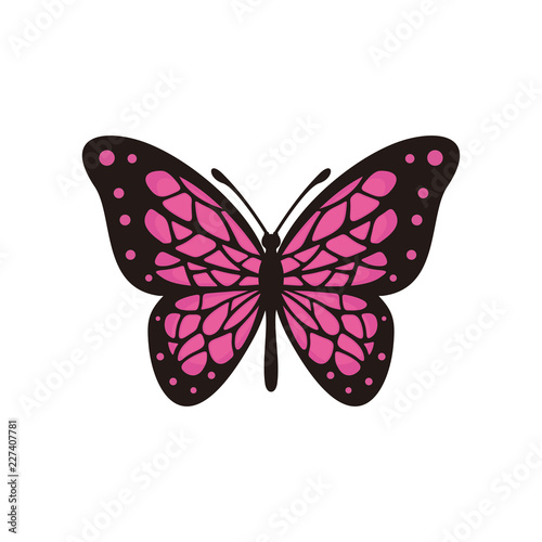 Butterfly vector logo © Vandhira