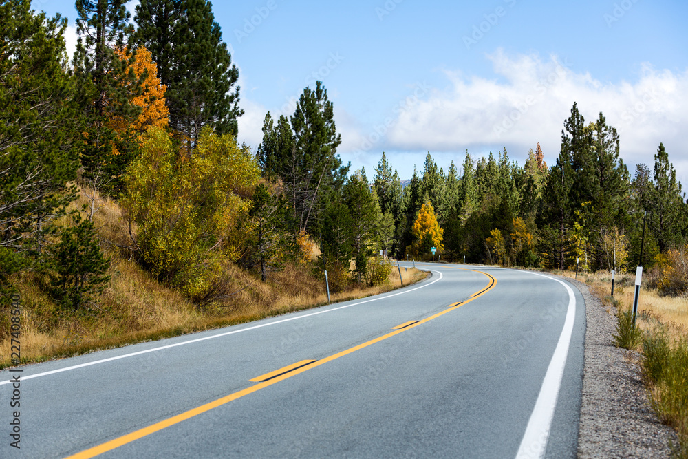 Fototapeta premium Fall color on both sides of a curved road