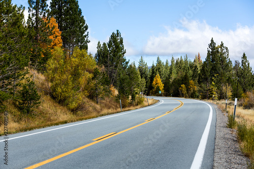 Fall color on both sides of a curved road © ecummings00