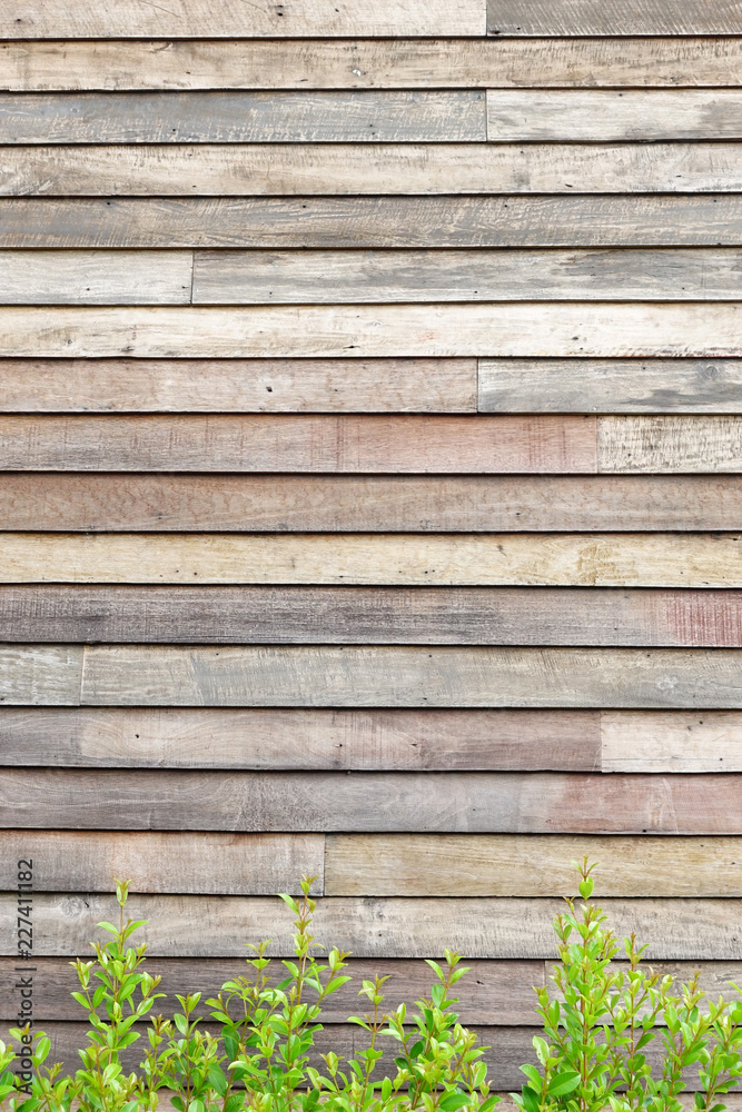 close up of wooden texture for background close up of wooden texture for background