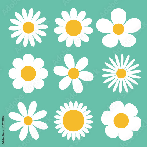 Fototapeta Naklejka Na Ścianę i Meble -  Camomile set. White daisy chamomile icon. Cute round flower plant collection. Love card symbol. Growing concept. Flat design. Green background. Isolated.