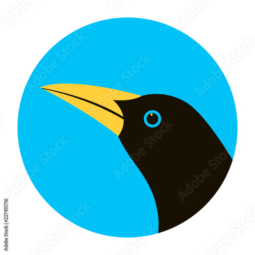 oriole  bird head vector illustration flat style profile