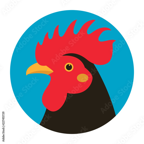 rooster head vector illustration flat style profile