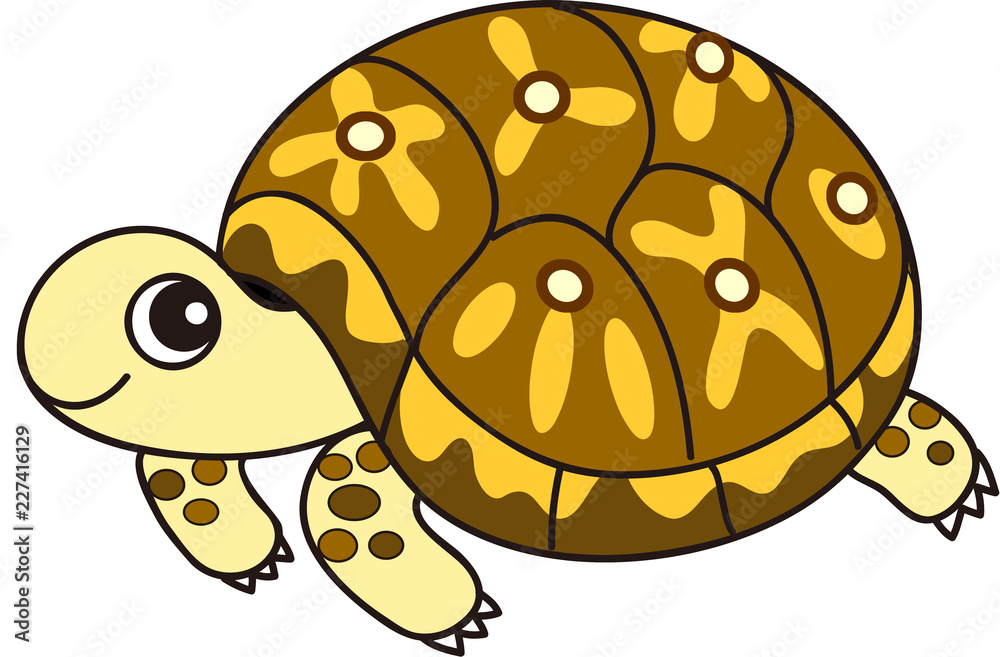 Obraz premium ホシガメ