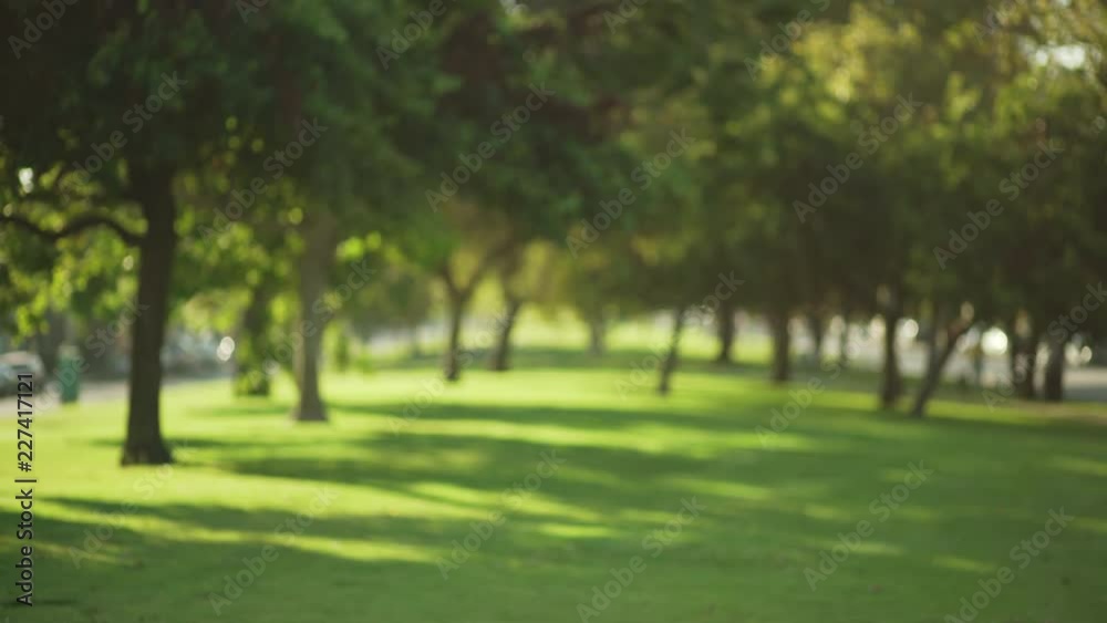 Blurred background of beautiful city park with lush trees and sunlight Blurred background of beautiful city park with lush trees and sunlight