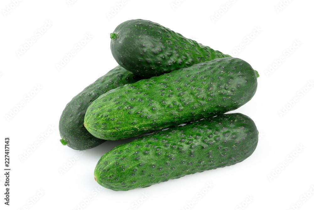 cucumber isolated on white background cucumber isolated on white background