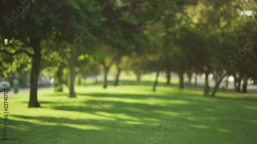 Blurred background of beautiful city park with lush trees and sunlight