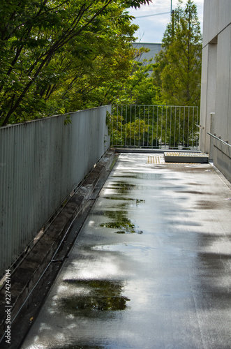 雨上がりのコンクリート・テラス © satoru