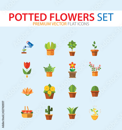 Potted Flowers Icon Set. Money Tree Cactus In Pot Cactus And Spray Bottle Plant Blooming Flower Chinese Peach Tree Cactus Red Flower Cactus In Flower Pot Tree In Pot Aloe Vera