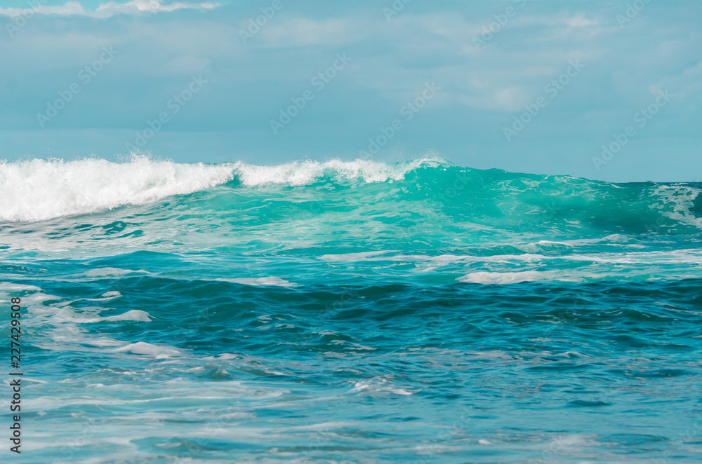 Fototapeta premium Ocean landscape. Big wave