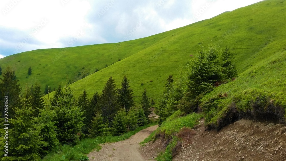 Fototapeta premium Nature and its beauty