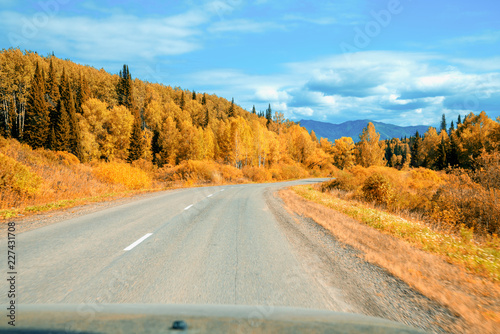 Autumn on the road. Altai. Kazakhstan.