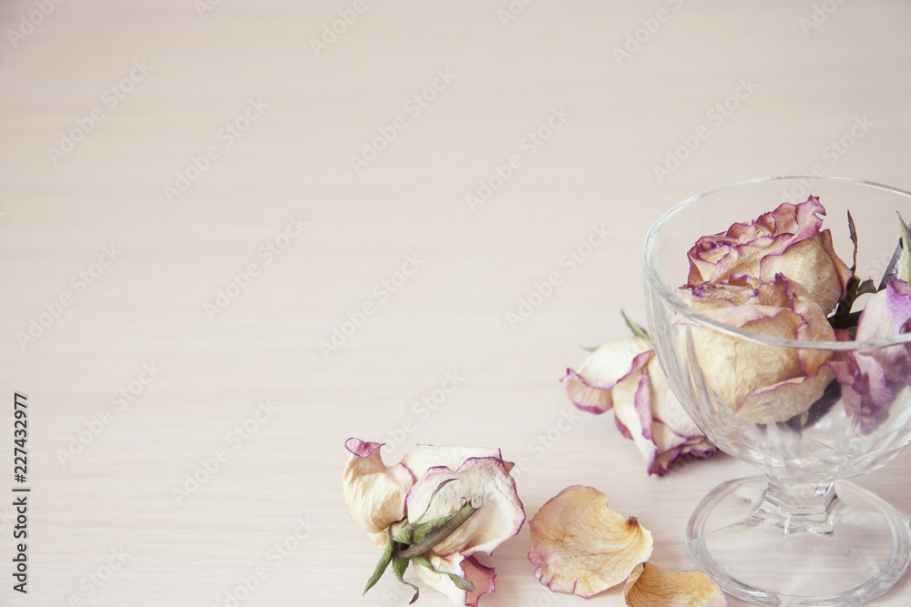 Romantic horizontal banner on light background. Delicate dry flowers Romantic horizontal banner on light background. Delicate dry flowers
