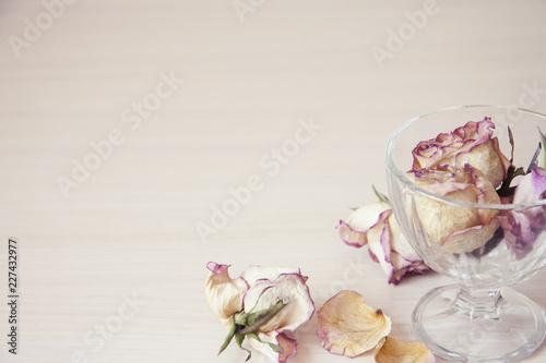 Romantic horizontal banner on light background. Delicate dry flowers