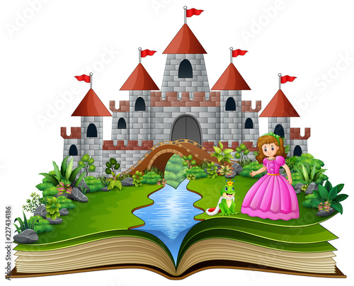 Story book of princess and frog prince cartoon