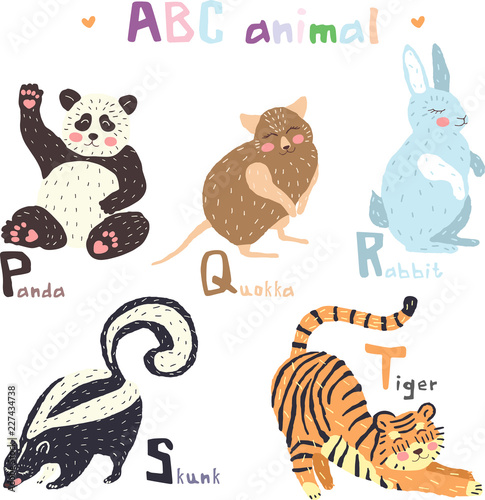 Vector hand drawn cute abc alphabet animal colorful scandinavian design, panda, quokka, rabbit,skunk, tiger