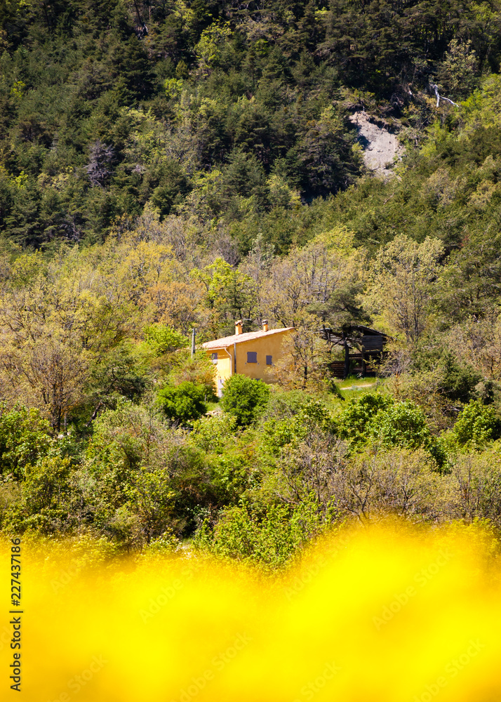 Provence, France. Beautiful view through blurred yellow rape flowers with farmhouse 