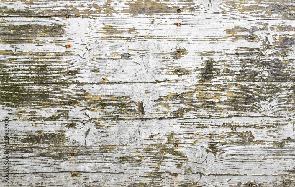 Fototapeta premium Grungy painted wood texture as background