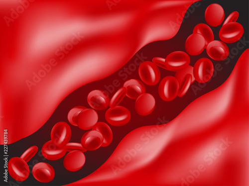 Red blood cells in vessel