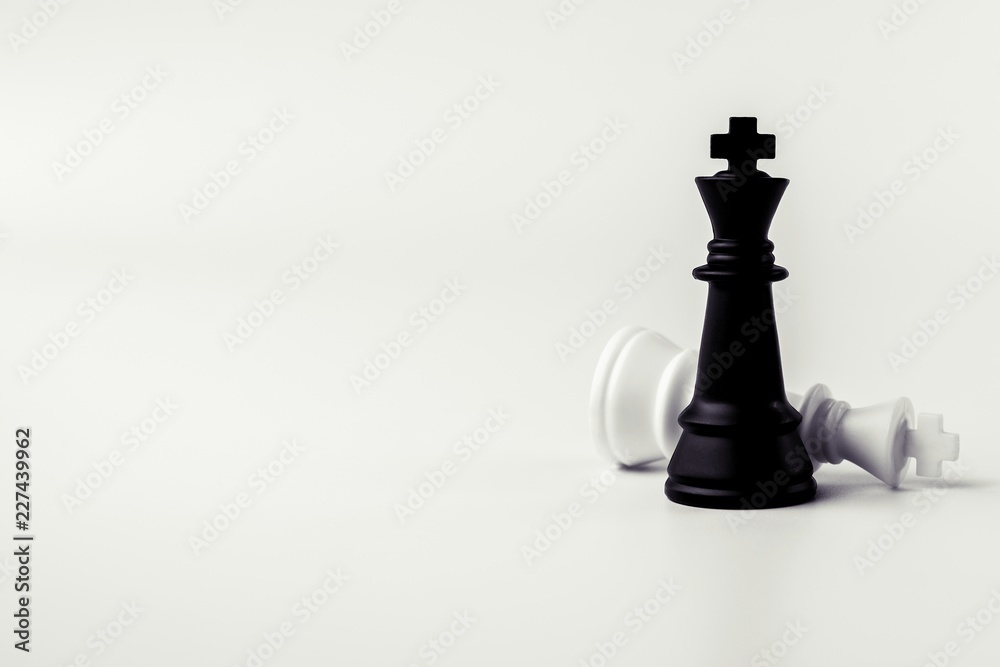 black and white king chess stand on white background. black and white king chess stand on white background.