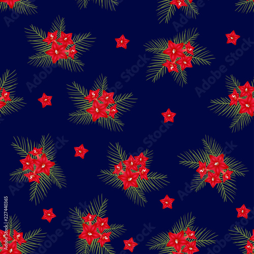Cypress vine Flower on Christmas Blue Background