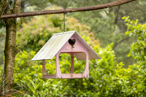 wooden bird house in the forest photo