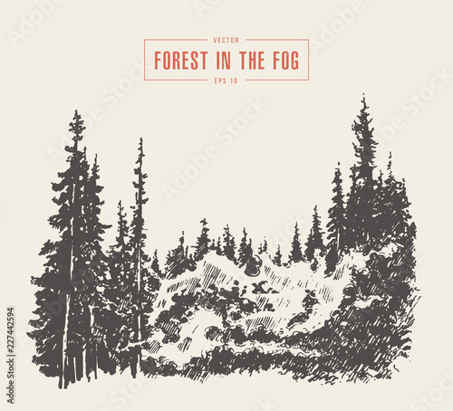 Misty fog pine forest mountain vector drawn sketch