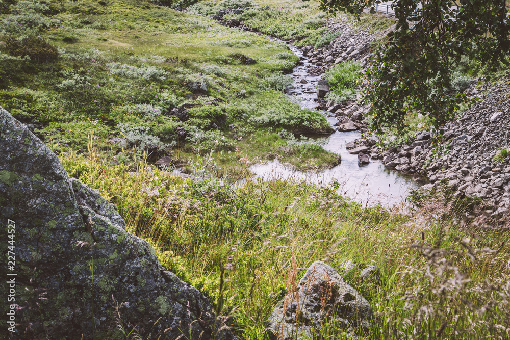 stream in hardangervidda landscape
