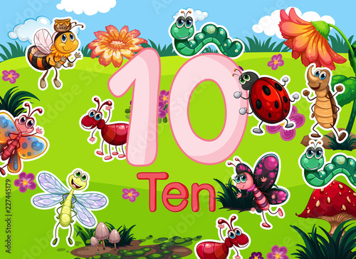 Ten diffrent insect template