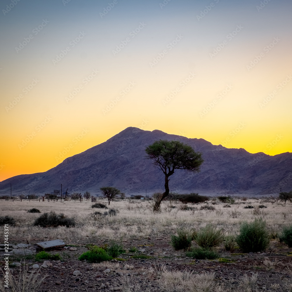 Fototapeta premium Yellow sunset