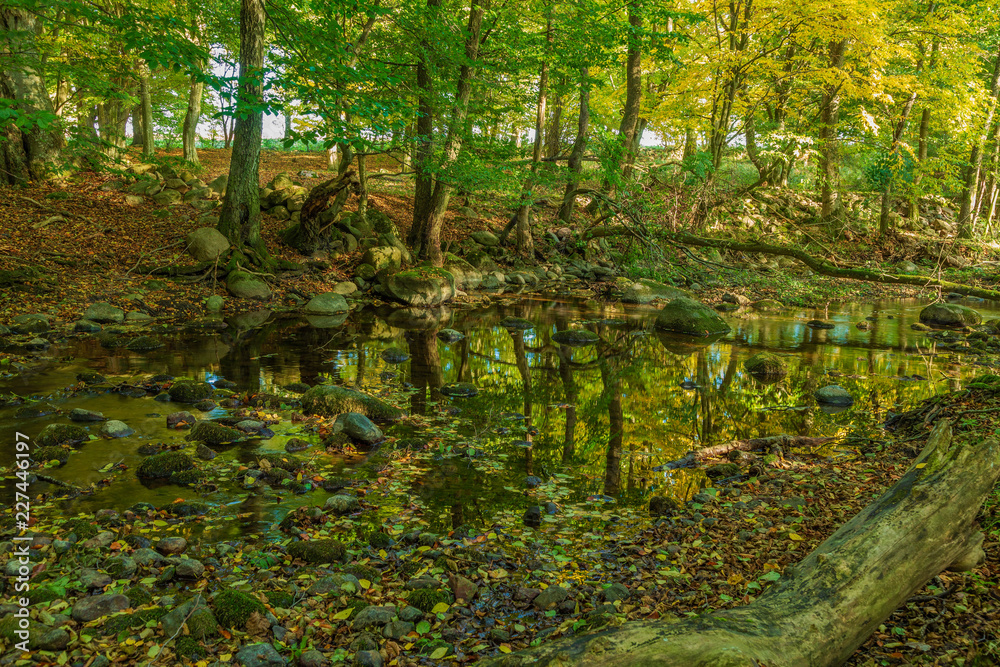 Obraz premium Vattendrag genom naturreservat