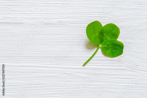 St. Patrick's Day - a symbol of a green shamrock, over a rustic wood background with copy space.