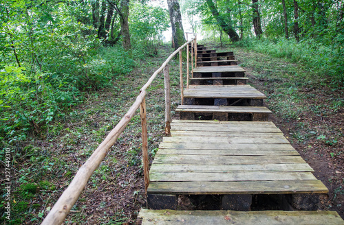 Fototapeta Naklejka Na Ścianę i Meble -  wooden staircase in the forest