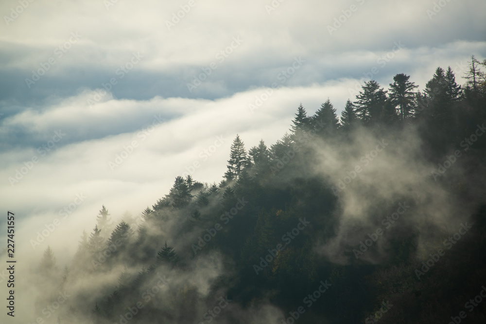 Naklejka premium Levé de soleil Jura vaudois 3