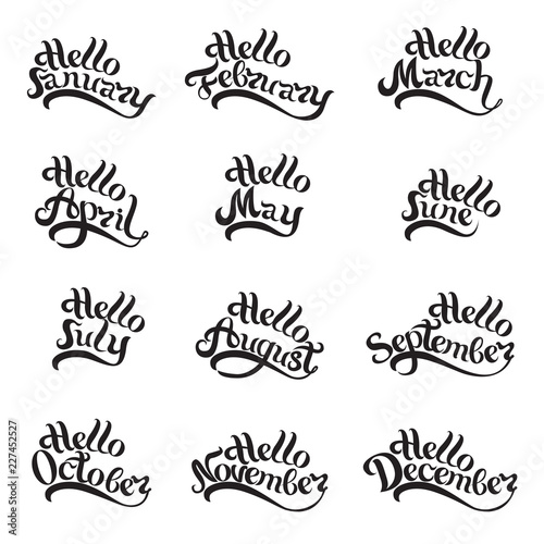 Names of all months of the year written by hand. Lettering. Beautiful letters on white background. Isolated image for invitations, calendars, t-shirt prints and more
