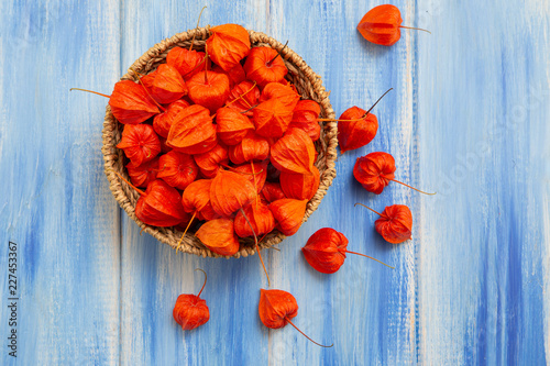 Autumn background. Bright orange physalis berries on a blue woody background. Background for the autumn holidays and thanksgiving day.
