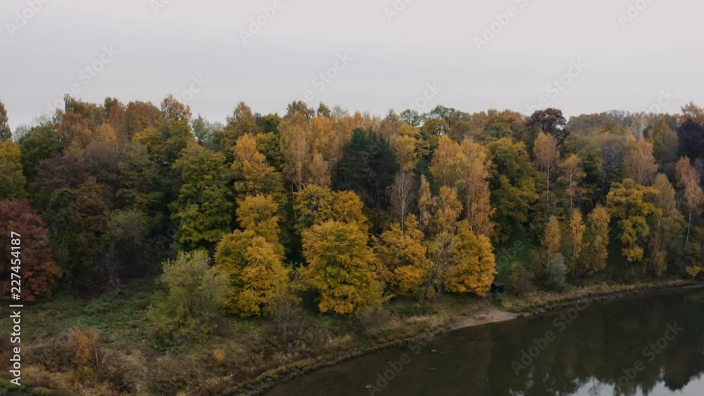 Colorful autumn trees on the coast of a forest river Colorful autumn trees on the coast of a forest river