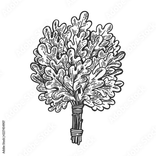 Oak broom for sauna engraving vector illustration. Scratch board style imitation. Black and white hand drawn image.