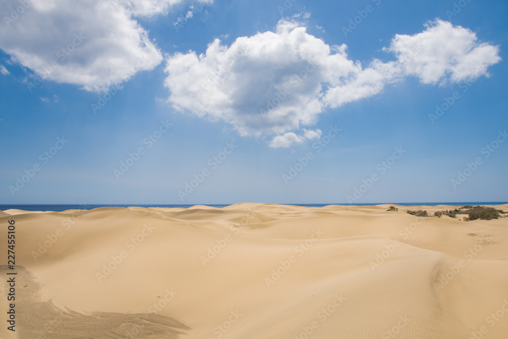 Dunes of maspalomas, on a hot day