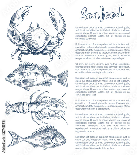 Lobster and Crayfish, Bream or Bass Seafood Poster