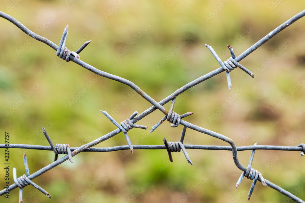 barbed wire stretched on the fence. Shallow depth of field. soft focus barbed wire stretched on the fence. Shallow depth of field. soft focus