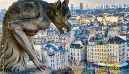 Chimera (Gargoyle) of the Cathedral of Notre Dame de Paris overlooking Paris on a beautiful sunny day