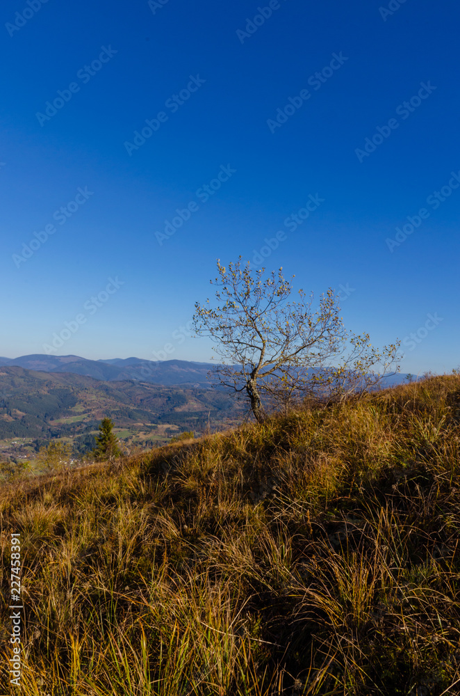 Carpathian mountains in sunny day in the autumn season