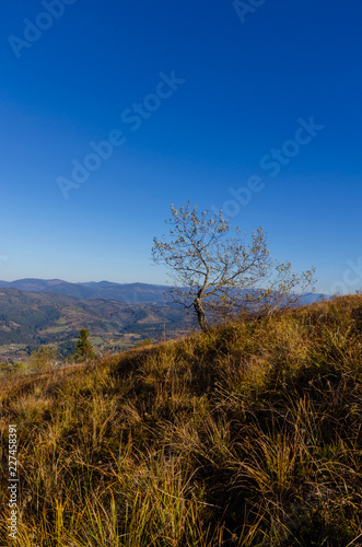 Carpathian mountains in sunny day in the autumn season