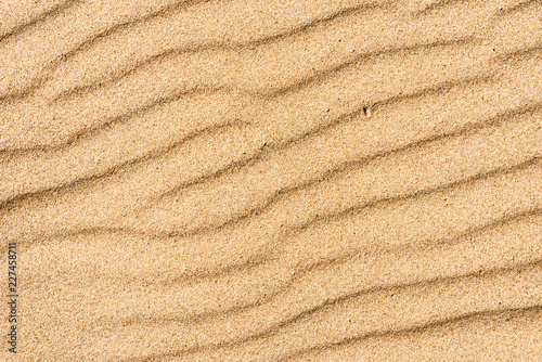 Sandy background - sandy surface with wind stripes