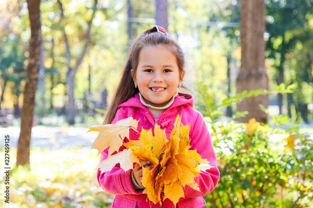 little girl schoolgirl holds yellow autumn leaves little girl schoolgirl holds yellow autumn leaves